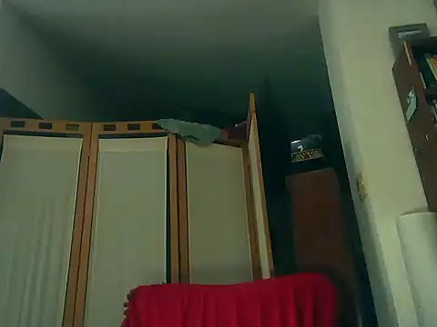 Онлайн чат XXX TheGirlWhoStandsUp