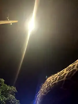 عرض كام Dulcepasion26