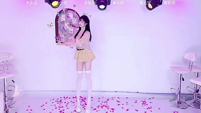 XK-2005n Webbikameraesitys