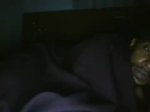 asianhotboy 라이브 XXX 채팅