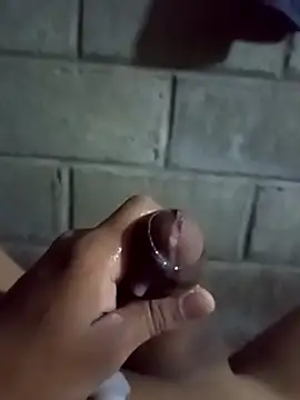 ga213333のウェブカメラショー