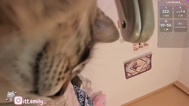 emily_uwu0のライブXXXチャット