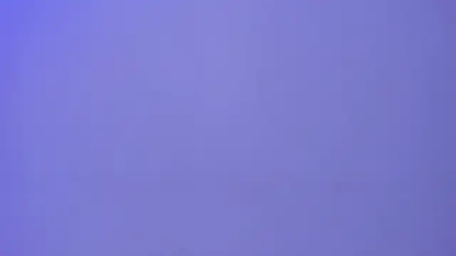 revenmiller_ 现场XXX聊天