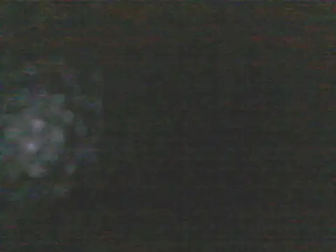 Chat XXX Live Wanderkid33