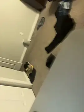 DominiqueX0's Live XXX Chat