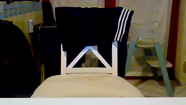 Show webcam de Renegade1608