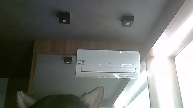 SkinnyKittenn Webbikameraesitys