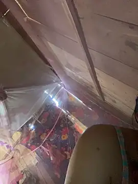 Nul-chal's Webcam Show