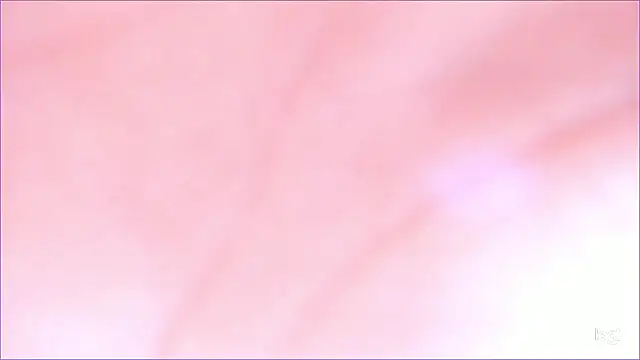 Онлайн чат XXX Toyota_Motor_Corporation