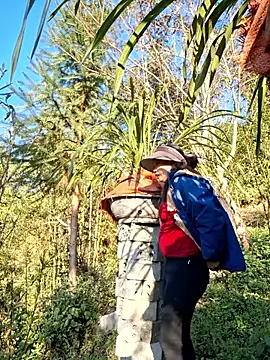 miomio-12 – Live XXX-chat