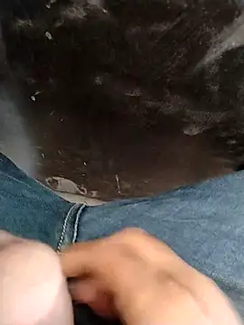 hardi9048 网络视讯表演