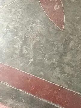 Pussyrequired's Live XXX Chat