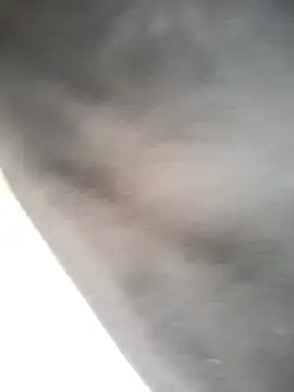 Corref Live XXX Chat