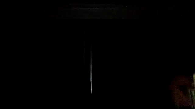 Show webcam de Youcunn