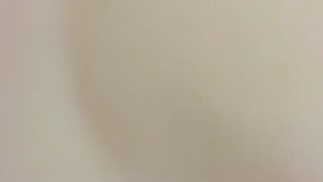 charly_morningstar Chat XXX live