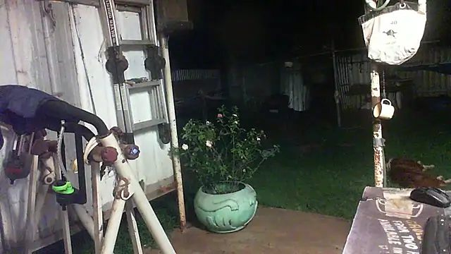 herbie010666's Live XXX Chat