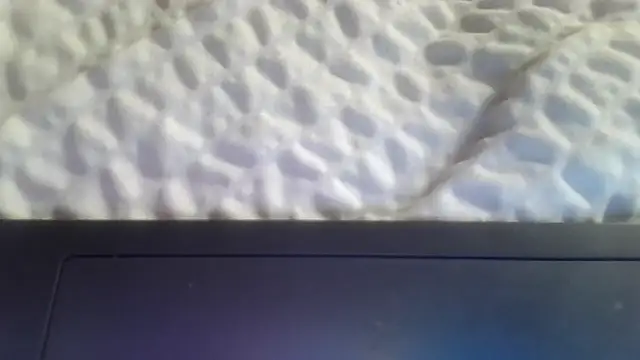 BrainiacBimbo 即時 XXX 聊天