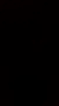 Chat XXX ao vivo de trans511