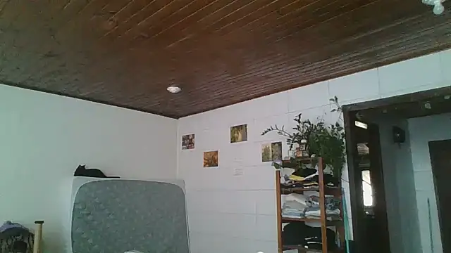 SweetyBabyDemon live XXX chat