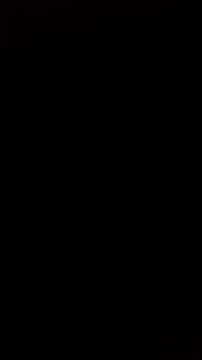 Онлайн чат XXX trans511