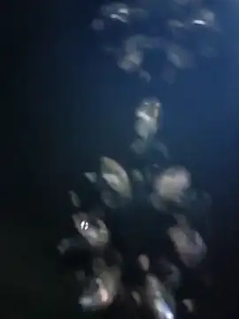 XXX chat uživo modela rapunzel069