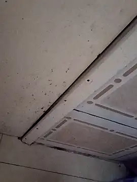 guridosul051 在線直播表演