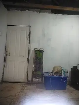 queenbusty's Live XXX Chat