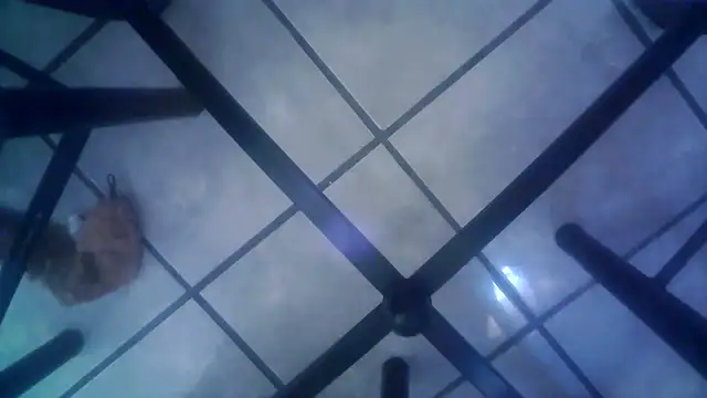 Benjacabo's Live XXX Chat