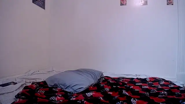 Show webcam de ChemicalX