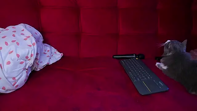 Živý XXX chat ohpetitemuse