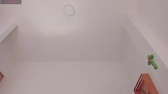 its_me_mileyn Webbikameraesitys