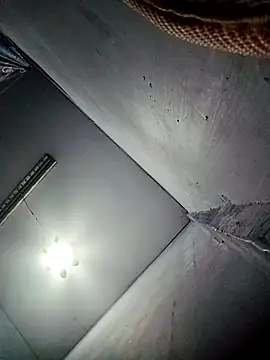 Chat XXX Live TropicalFlower