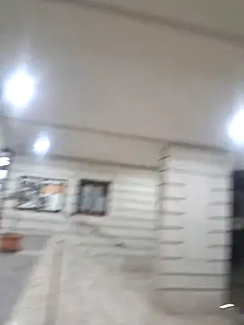 nocsivag 라이브 XXX 채팅