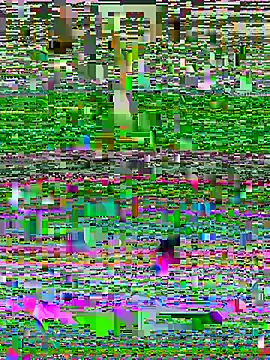 Black-cheri's Live XXX Chat