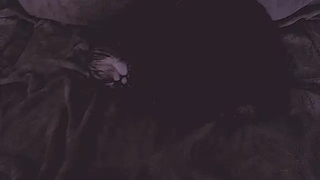 SoftLia 即時 XXX 聊天