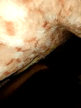 rohit16770 live XXX chat