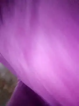 Show Webcam de kamita-12