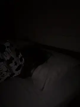 Ponthip Pertunjukan Webcam