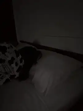 Show Webcam de Ponthip