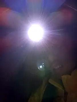 jerry-xx's Live XXX Chat