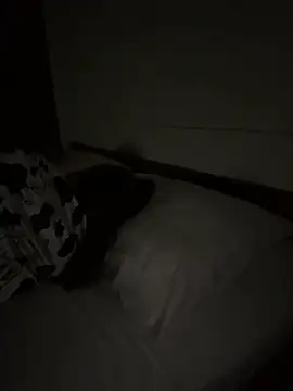 Ponthip 网络视讯表演