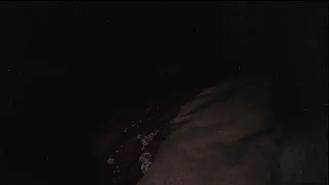 hebe-02 即時 XXX 聊天