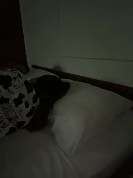 عرض كام Ponthip