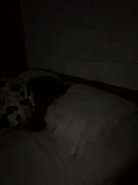 Ponthip élő XXX-chatje