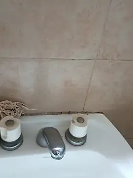 bra33のウェブカメラショー