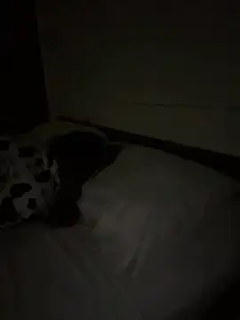 Ponthip's Live XXX Chat