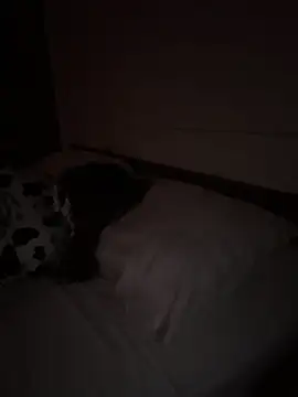 Ponthip: διαδικτυακό σόου στην κάμερα