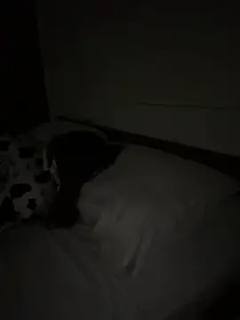 Ponthip Live XXX-Chat