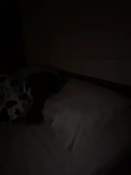 Chat XXX en directo de Ponthip