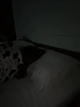 XXX chat uživo modela Ponthip